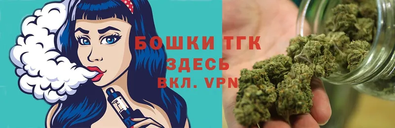 Каннабис OG Kush  наркотики  Шумиха 